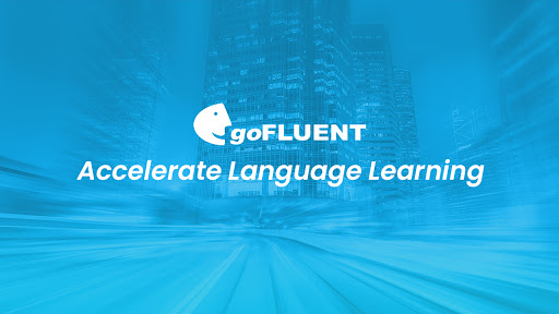 goFLUENT GmbH