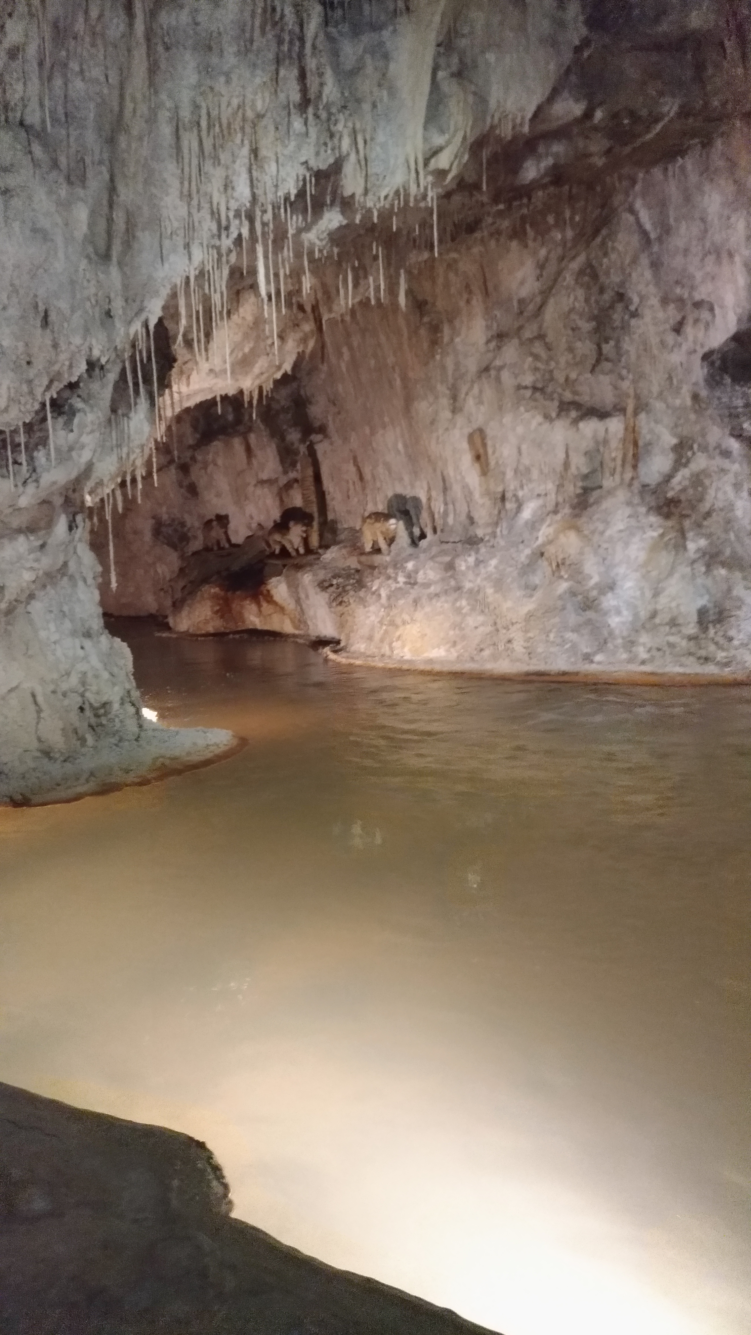 Photo n° 8 de l'avis de jeanfrancois.c fait le 06/08/2019 à 15:32