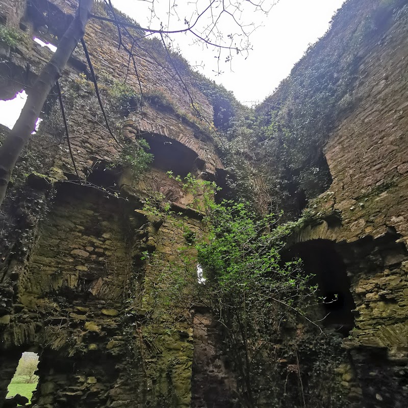 Ballinoroher Castle