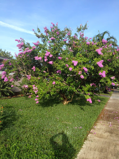 Home Improvement Store «The Home Depot», reviews and photos, 2901 N University Dr, Sunrise, FL 33322, USA