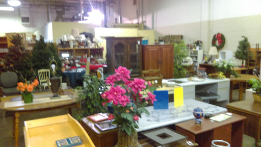 Thrift Store «Nifty Thrifty Shop LLC», reviews and photos