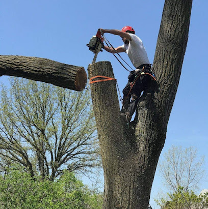 Marlow Tree Service LLC