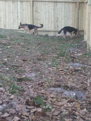 Pet Supply Store «Pet Supermarket», reviews and photos, 11160 Panama City Beach Pkwy #402, Panama City Beach, FL 32407, USA