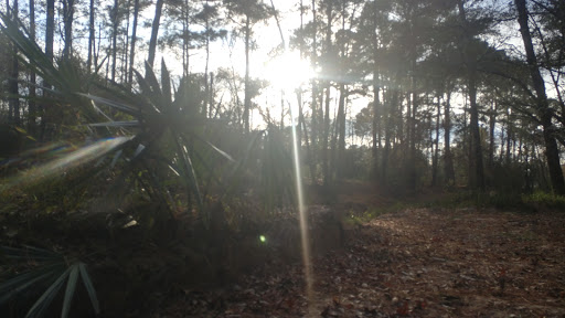 Park «Telge Park», reviews and photos, 12400 Pleasant Grove Rd, Cypress, TX 77429, USA