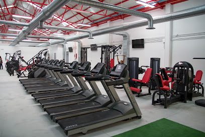 THE GALLERY GYM