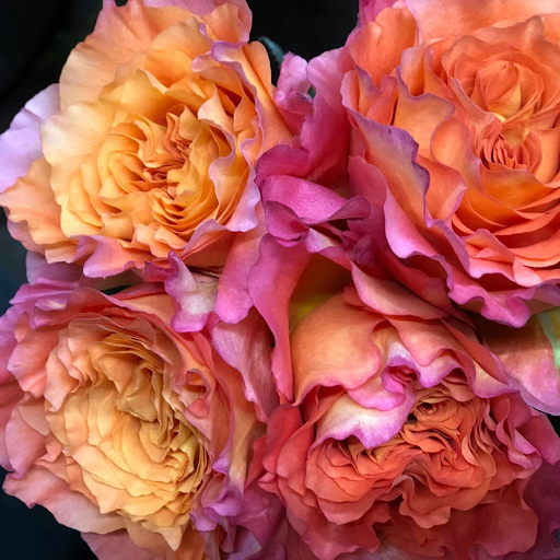 Florist «Plumeria Botanical Boutique», reviews and photos, 1364 W Michigan Ave, Battle Creek, MI 49037, USA