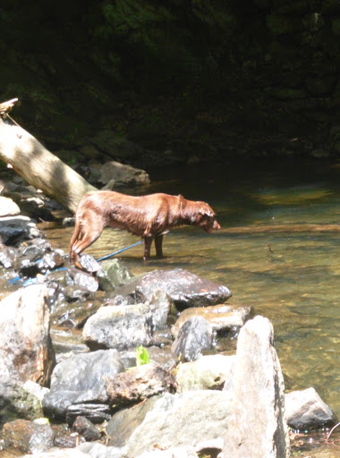 National Park «First State National Historical Park - Peters Rock Parking», reviews and photos, Thompsons Bridge Rd, Wilmington, DE 19803, USA