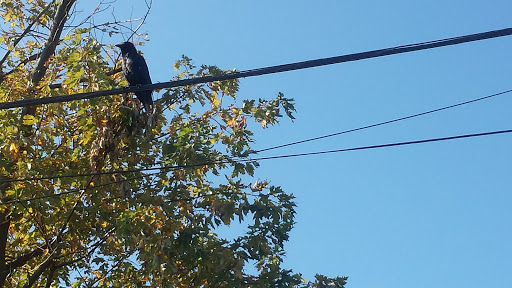 Beauty Salon «Carmela Hair Salon», reviews and photos, 38 Bay Shore Rd, Bay Shore, NY 11706, USA