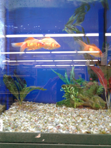 Pet Supply Store «Pet Supplies Plus», reviews and photos, 471 Boston Post Rd, Orange, CT 06477, USA