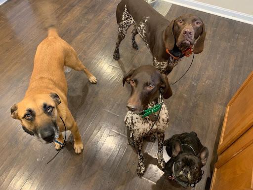 Heineke Veterinary Hospital image