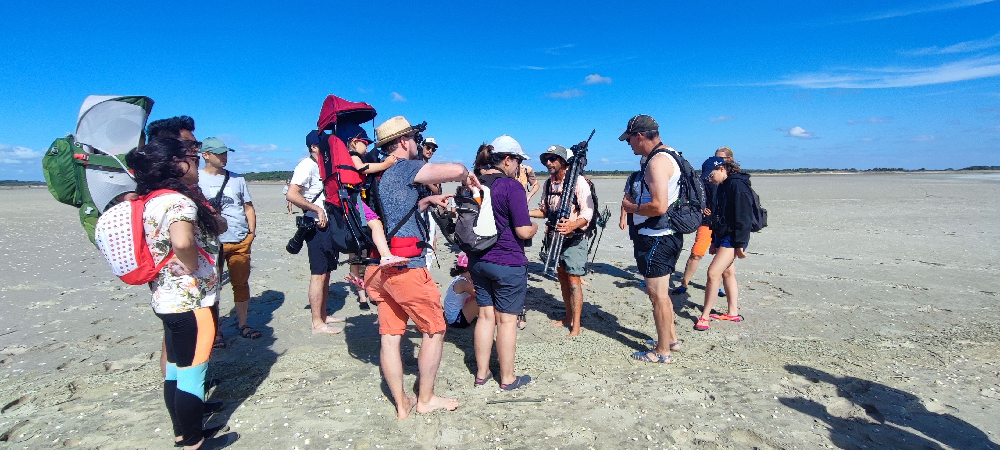 Photo n° 8 de l'avis de Raz.o fait le 29/07/2021 à 18:46