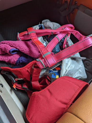 Pet Supply Store «Petco Animal Supplies», reviews and photos, 30697 US Hwy 19 N, Palm Harbor, FL 34684, USA