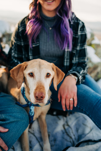 Tattoo Shop «Love N Hate Elite Tattoo Studio», reviews and photos, 2370 W Alameda Ave, Denver, CO 80223, USA