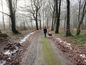 Photo n°15 de Lou Pradal à Le Soulié ()
