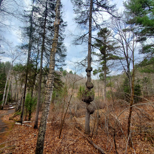Museum «Michigan Iron Industry Museum», reviews and photos, 73 Forge Rd, Negaunee, MI 49866, USA