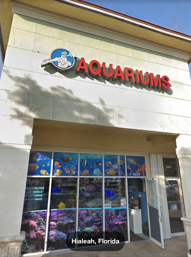 Aquarium «Neptunes Aquariums», reviews and photos, 5329 W 20th Ave, Hialeah, FL 33012, USA