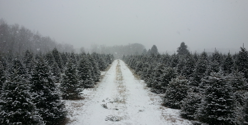 Happy Land Tree Farms Inc