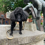 Photo n°3 de l'avis de Kris.o fait le 09/07/2022 à 09:00 sur le  Hasbergscher Hof à Nienburg