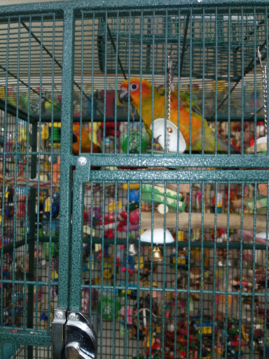 Pet Store «Discount Pet & Supplies», reviews and photos, 16320 Middlebelt Rd, Livonia, MI 48154, USA