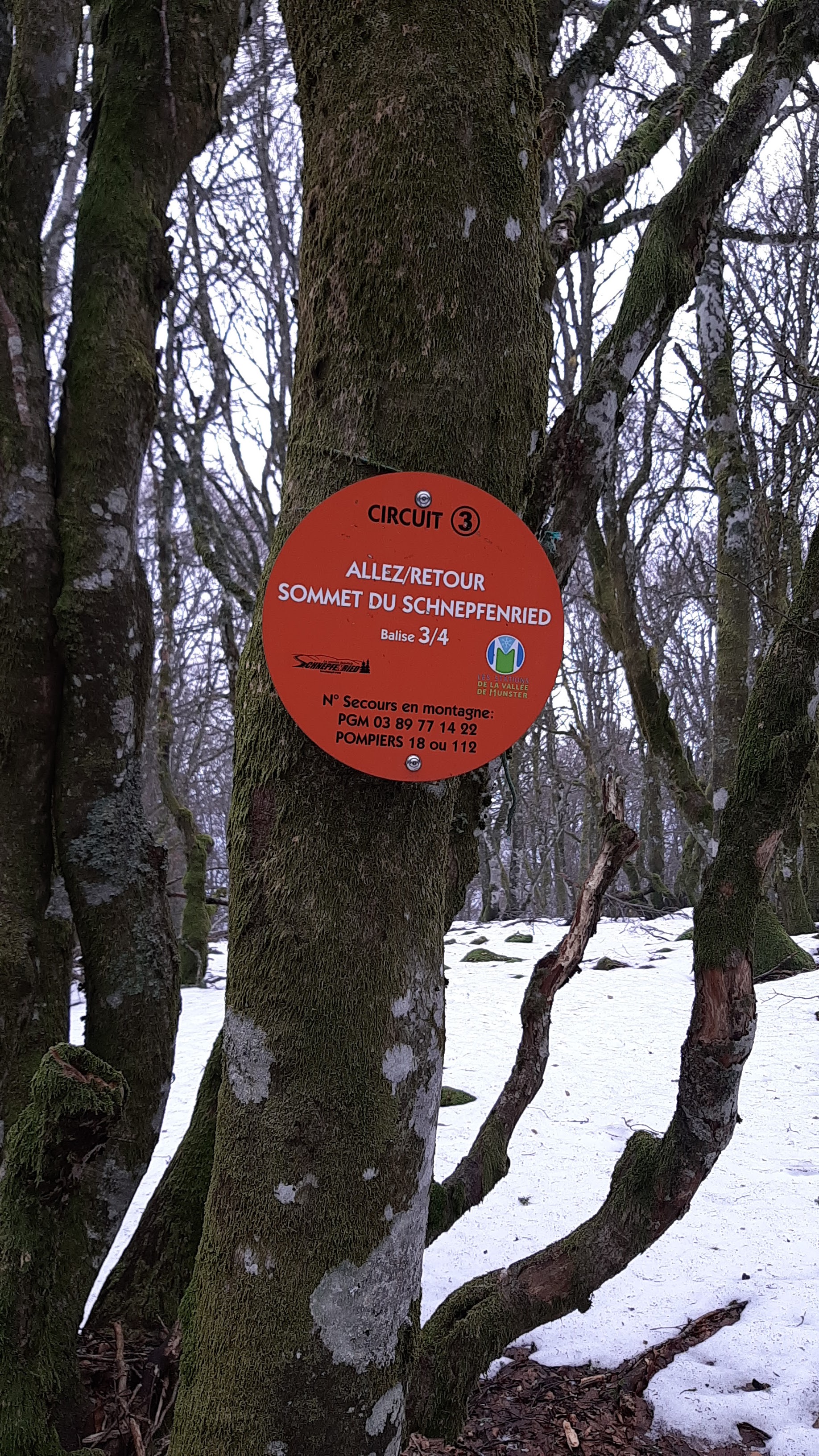Photo n° 4 de l'avis de Veronique.G fait le 11/03/2023 à 23:03