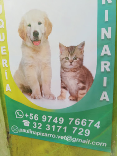 Opiniones de Peluqueria canina Motitas en Valparaíso - Veterinario