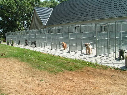 Hjortemosegaards Hundesvøm og Pension - Hundesvømmehal in Dalmose, Slagelse