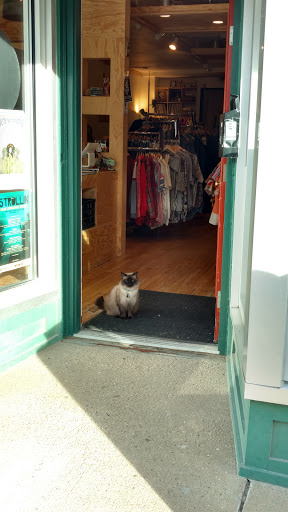 Vintage Clothing Store «Good Style Shop», reviews and photos, 817 E Johnson St, Madison, WI 53703, USA