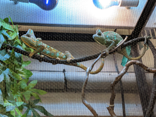 Pet Store «Affordable Pet Center», reviews and photos, 2022 Main St, Northampton, PA 18067, USA