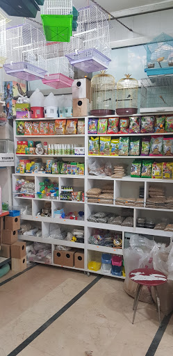 Animal shop | Ümraniye İstanbul - Evcil hayvan mağazası