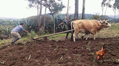 Photos of Paraiso,Dto .San Pedro,Misiones