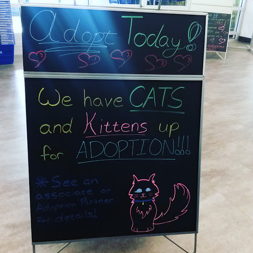 Pet Store «PetSmart», reviews and photos, 17150 Ventura Blvd, Encino, CA 91316, USA