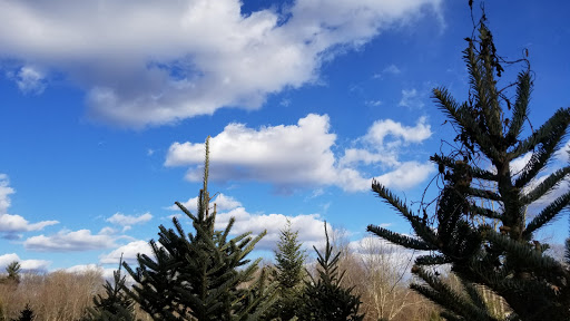 Outdoor Sports Store «Maple Hill Disc Golf», reviews and photos, 132 Marshall St, Leicester, MA 01524, USA