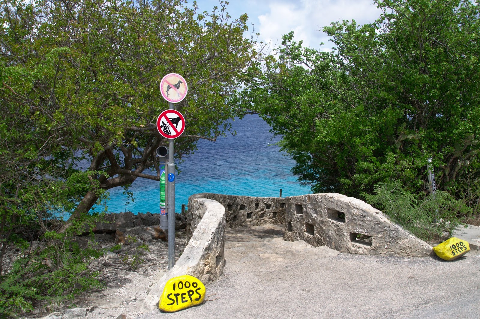 1000 Steps Beach'in fotoğrafı geniş bir kıyı şeridi ile birlikte