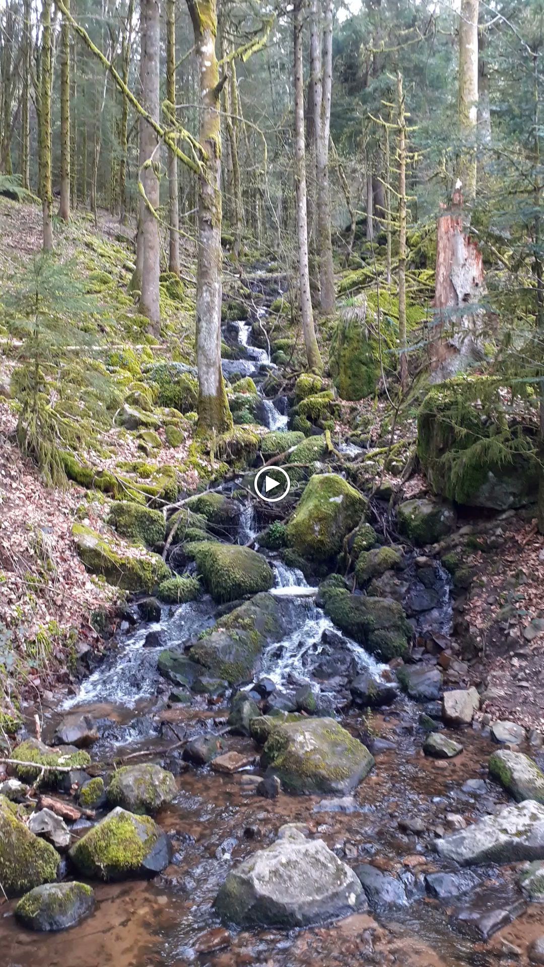 Photo n° 14 de l'avis de Jean.i fait le 29/04/2023 à 17:21