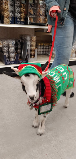 Discount Store «Big Lots», reviews and photos, 7005 Clairton Rd, West Mifflin, PA 15122, USA