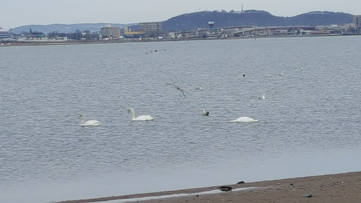 Nature Preserve «Sandy Point Bird Sanctuary», reviews and photos, Beach St, West Haven, CT 06516, USA