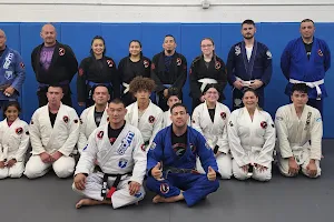 Global Brazilian Jiu-Jitsu image