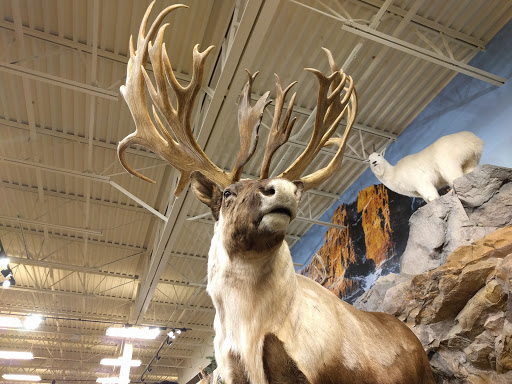 Outdoor Sports Store «Field & Stream», reviews and photos, 5215 Century Ave, Kalamazoo, MI 49006, USA