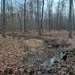 Knobs State Forest