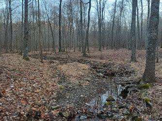 Knobs State Forest