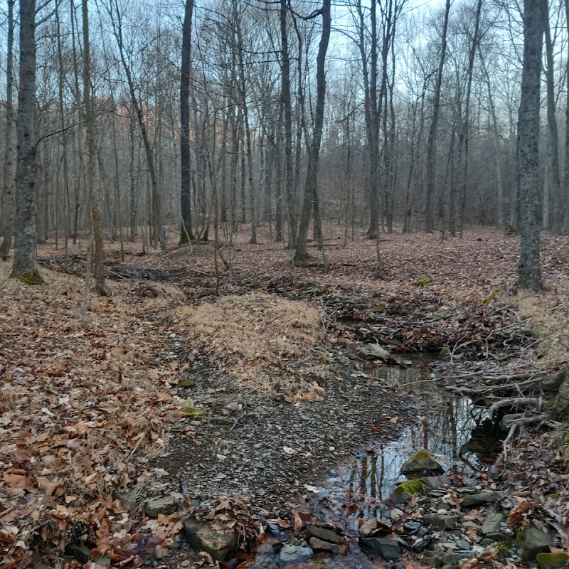 Knobs State Forest
