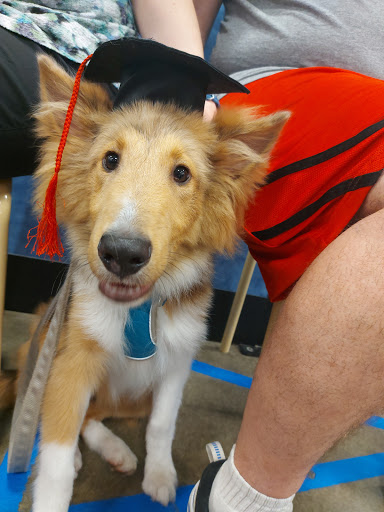 Pet Supply Store «PetSmart», reviews and photos, 934 W Street Rd, Warminster, PA 18974, USA