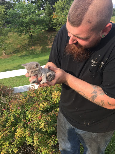 Tire Shop «Wastler Tire Pros», reviews and photos, 4174 Ridge Rd, Westminster, MD 21157, USA