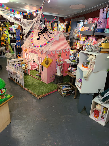Toy Store «Why Not Toys», reviews and photos, 319 Gentry St, Spring, TX 77373, USA