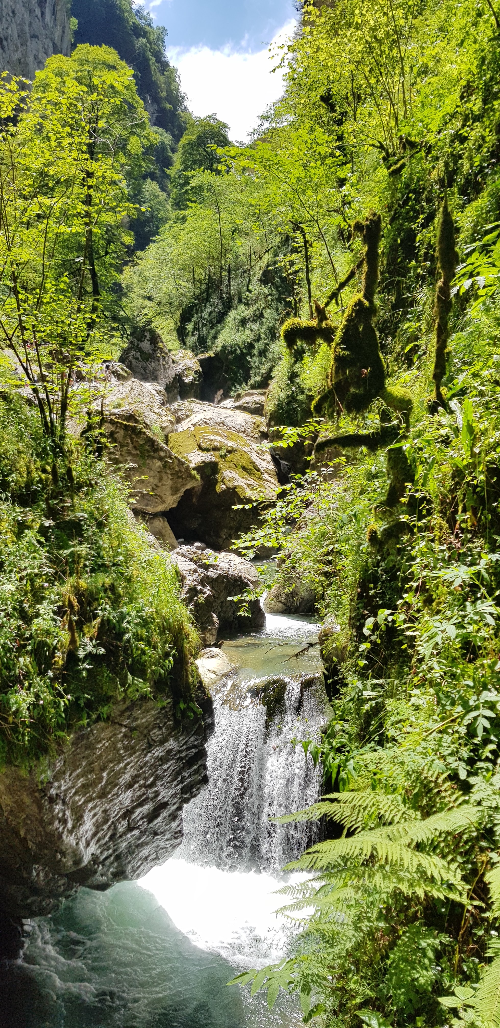 Photo n° 9 de l'avis de fabrice.e fait le 19/07/2018 à 07:30