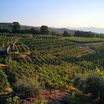 Photo n°7 de l'avis de Alessandro.a fait le 17/08/2023 à 00:01 sur le  Agriturismo Le Case del Merlo à Milo