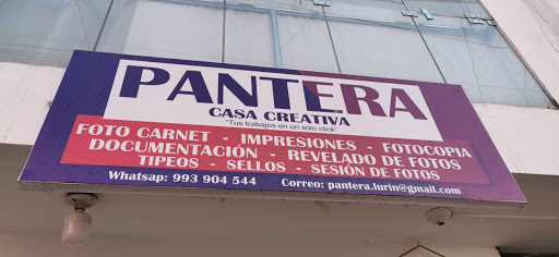 Pantera Casa Creativa