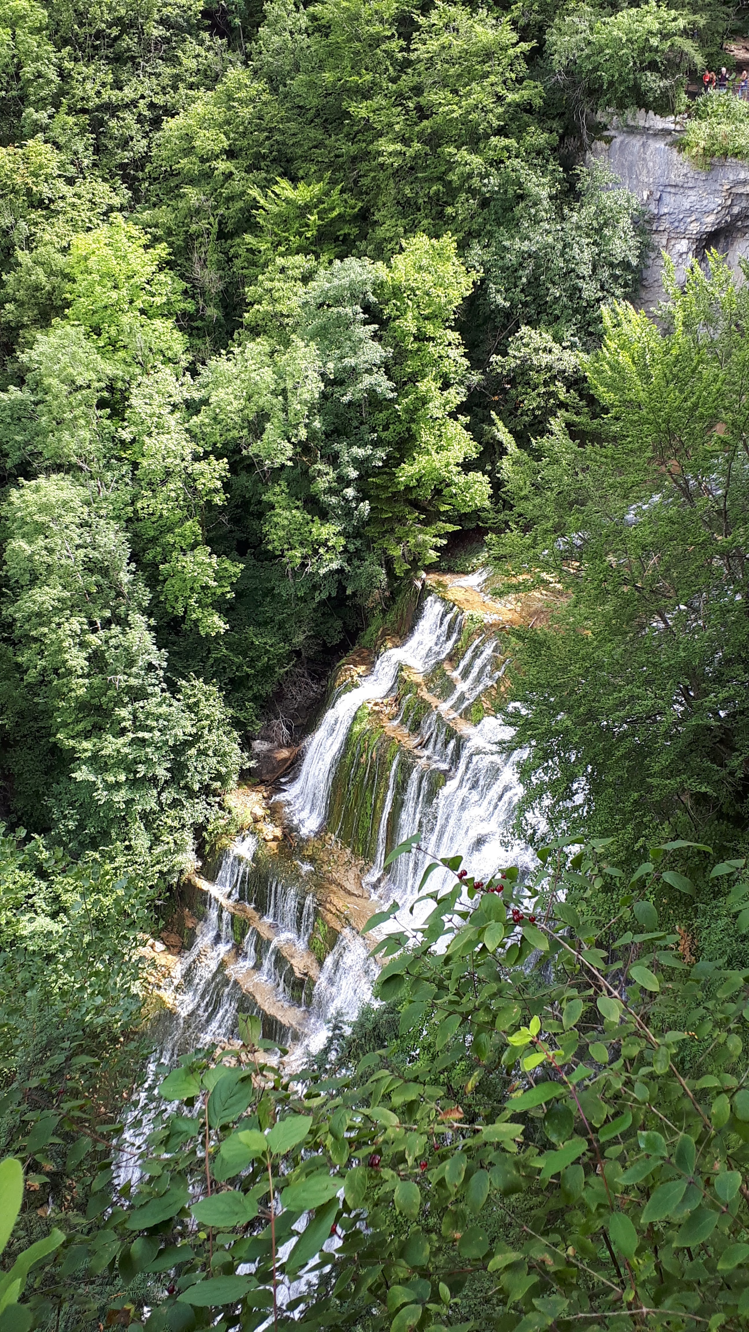Photo n° 11 de l'avis de Françoise.o fait le 02/08/2021 à 20:40