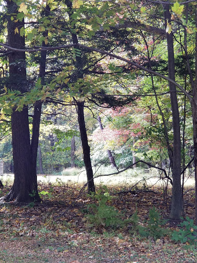 Historical Landmark «Montgomery Place Historic Estate», reviews and photos, 26 Gardener Way, Red Hook, NY 12571, USA