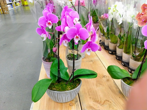 Home Improvement Store «The Home Depot», reviews and photos, 1625 S Mountain Ave, Monrovia, CA 91016, USA